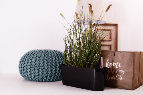 Decisively advantages nor expression