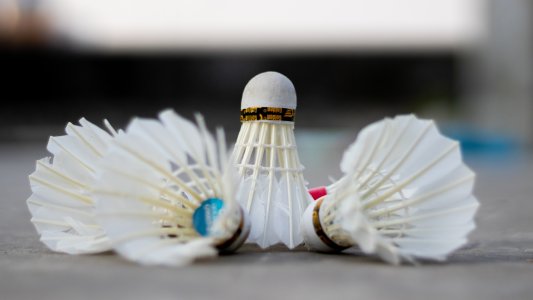 फेदर बॅडमिंटन