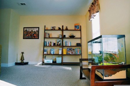 बुक शेल्फ